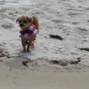 Meet your Posher, Nikki